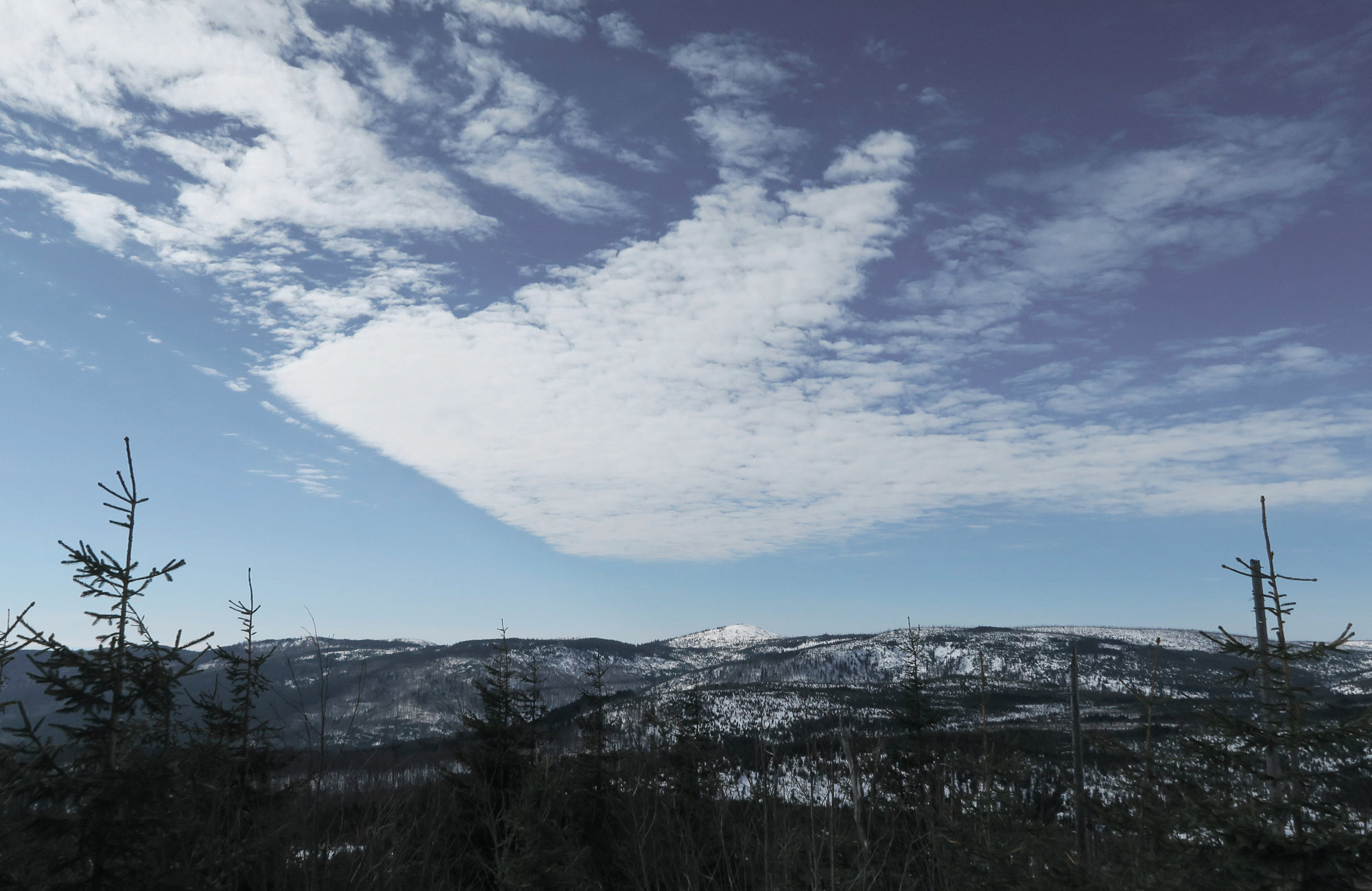 Top 4 Winterwanderungen Im Bayerischen Wald Fjella